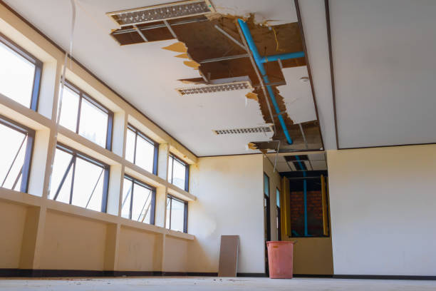 Best Carpet water damage restoration  in Hurstbourne Acres, KY