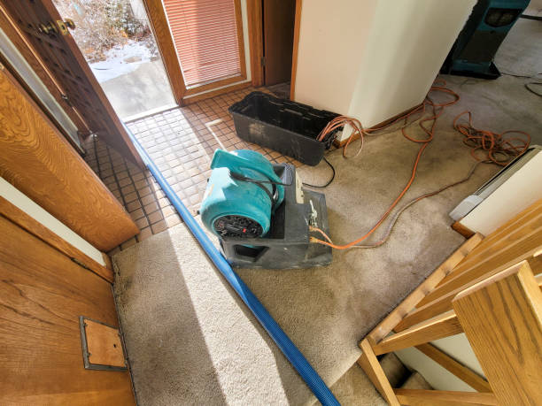 Best 24/7 water damage repair  in Hurstbourne Acres, KY